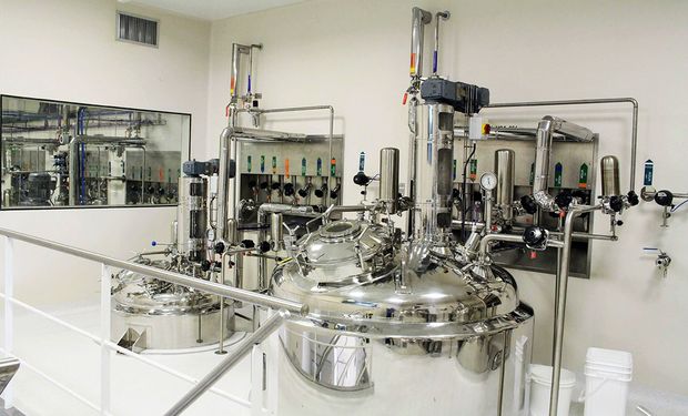 Laboratorio argentino exportó 1.000.000 de vacunas contra la aftosa a Uruguay