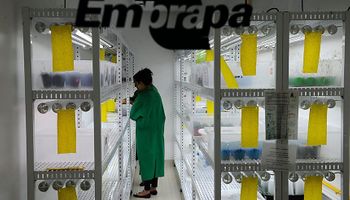 Governo publica lei que amplia fontes de recursos para Embrapa