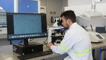 Gigantes do agro abrem programas de estágio e buscam novos talentos pelo Brasil