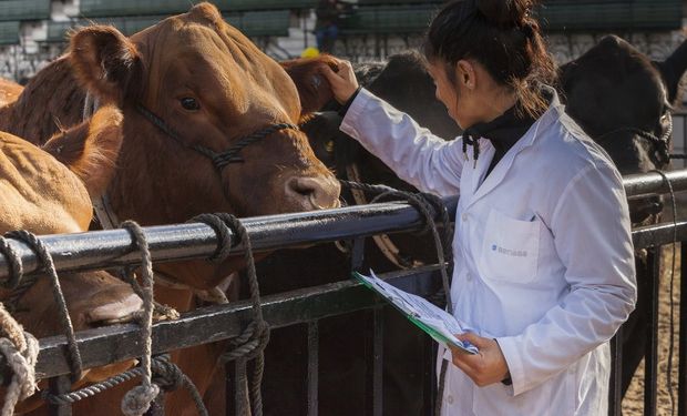 Cómo se posicionan los laboratorios veterinarios en Argentina