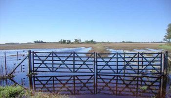 Labores de siembra y cosecha, condicionadas por las lluvias