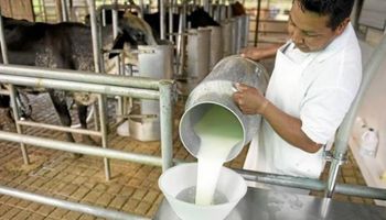 Mercosur prorrogó su arancel para lácteos