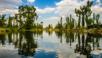 Lago de Xochimilco, el último habitat del ajolote: por qué lo recuerda hoy Google