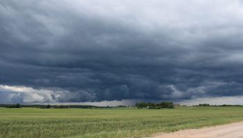 Fin de semana con lluvias: qué dice el pronóstico del tiempo para las próximas semanas