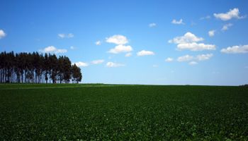 Hito: ahora cualquiera puede invertir en campos, desde US$ 50 y con una importante renta proyectada