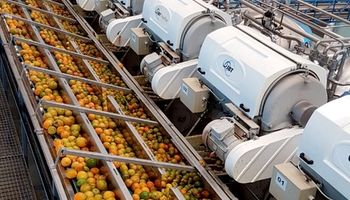 Cotações da laranja, suíno e arroz foram “únicas” com alta desde abril de 2022