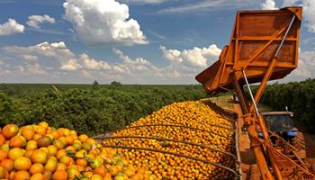 Lula inicia tentativa de aproximação com o agro por fruticultores