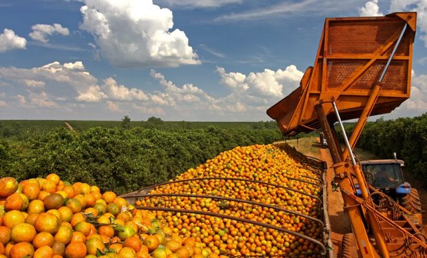 Lula inicia tentativa de aproximação com o agro por fruticultores