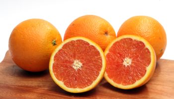 CNA debate projeção para safra de laranja