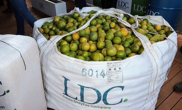 Biogás será produzido a partir de efluentes gerados no processamento de laranjas e limões, como os resíduos da lavagem das frutas. (Foto - Divulgação)