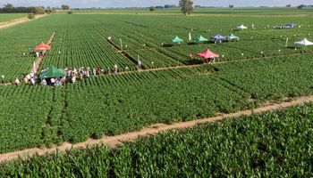 El primer gran encuentro del agro de 2025: cómo enfrentar las malezas en cultivos de verano