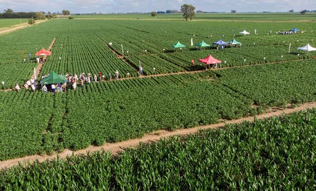 El primer gran encuentro del agro de 2025: cómo enfrentar las malezas en cultivos de verano