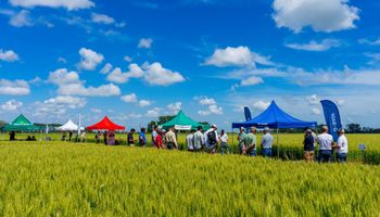 Gratis: se acerca la jornada que revela lo último en tecnología para agricultura