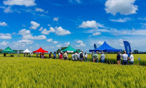 Gratis: se acerca la jornada que revela lo último en tecnología para agricultura