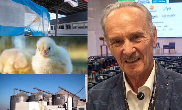 Arrancaron con 12 gallinas y un macho y ahora faenan 280.000 pollos por día: los secretos del "robot" que transforma maíz y soja en proteína animal