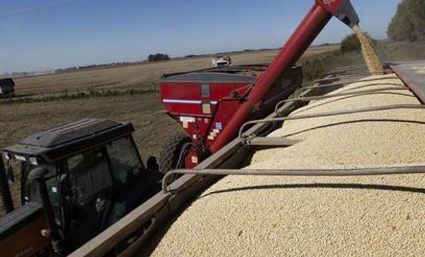 Comparado con 2012, los productores apenas vendieron un tercio de la soja nueva