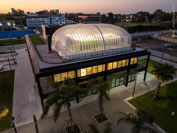 laurus granjas