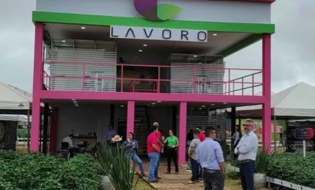 Lavoro vende controle do Crop Care ao Pátria e avança na redução de dívidas