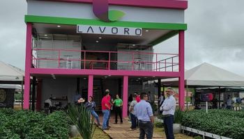 Lavoro mais que triplica prejuízos e vai fechar 70 lojas em 2025