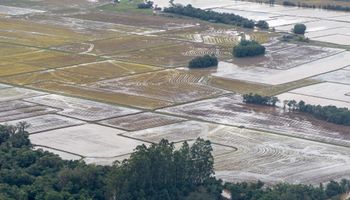 El Niño deve retornar em maio e acende alerta para o clima e a agricultura