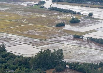El Niño deve retornar em maio e acende alerta para o clima e a agricultura