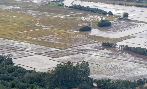 No Sul, por outro lado, o aumento das chuvas — sobretudo no inverno e na primavera — pode gerar excesso de umidade no solo Fotos Maurício Tonetto/Secom