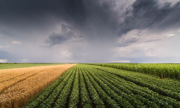 Na Região Norte, a Climatempo alerta para temporais generalizados, especialmente em Rondônia, no oeste do Pará, no leste do Acre e em várias áreas do Amazonas.