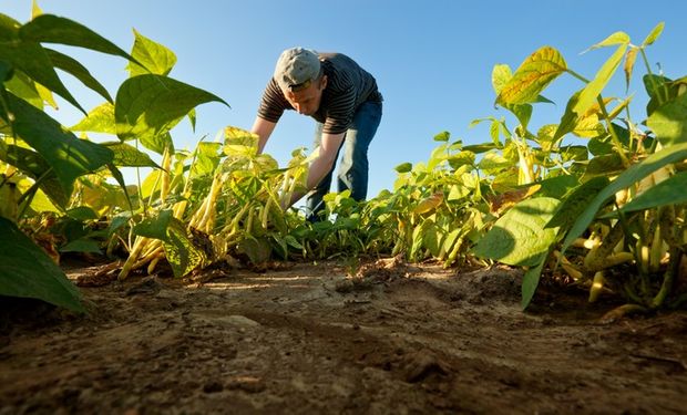 O valor de mercado da “terra nua” varia por diversos fatores, desde relevo, oferta de recursos hídricos, fertilidade do solo, logística e aptidão regional para o agronegócio