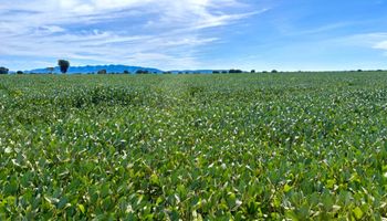 Goiás anuncia fim da taxa do agro