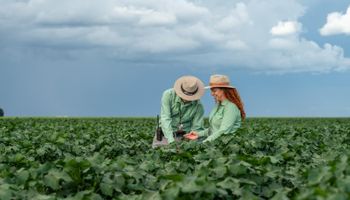 SLC Agrícola e BTG Pactual firmam acordo de R$ 1 bi para expandir áreas agrícolas