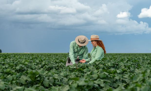 SLC Agrícola e BTG Pactual firmam acordo de R$ 1 bi para expandir áreas agrícolas