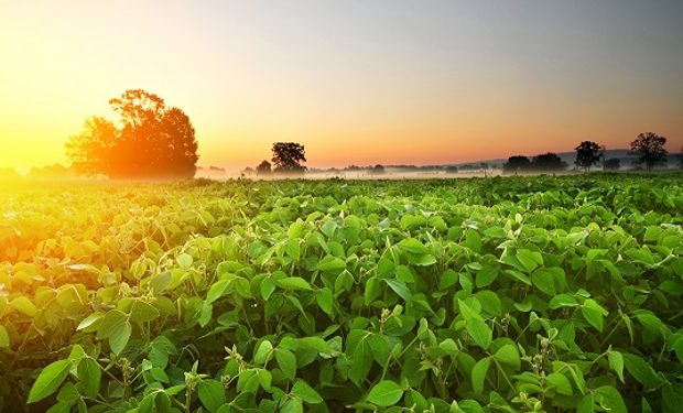 Rio Grande do Sul vive uma situação oposta, com a seca agravando a preocupação no campo