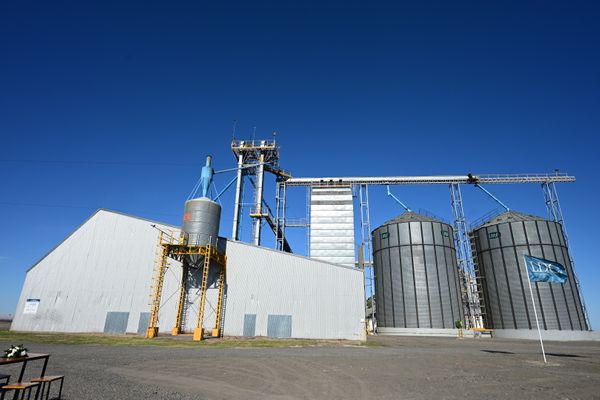 planta dreyfus