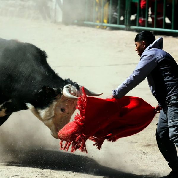 campo