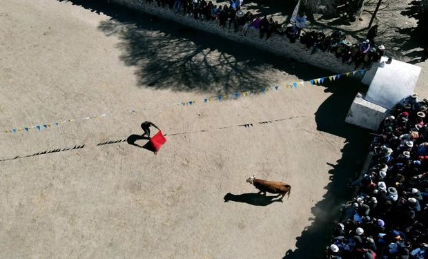 Impactante: así es la única corrida de toros de la Argentina