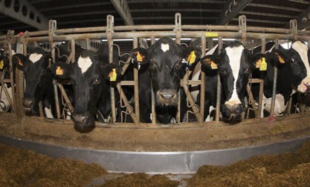 Productores le presentaron a Bahillo una simulación sobre qué pasaría si se bajan las retenciones a la leche en polvo