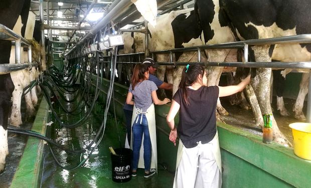 El precio promedio de la leche creció un 8 % en abril