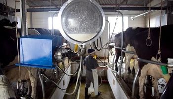 ¿Señal a los tambos? Suman un mecanismo para corregir el precio pagado al productor lácteo