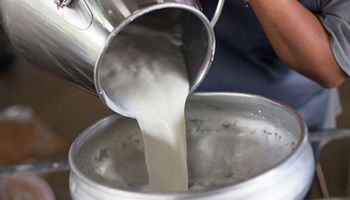 Futuros de leche cruda: cómo fue el primer día de operatoria