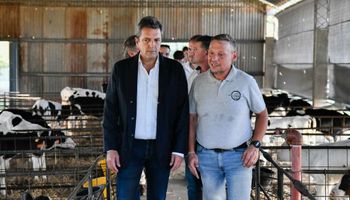 Dólar agro: girasol y leche estarían adentro, mientras que la carne se queda afuera