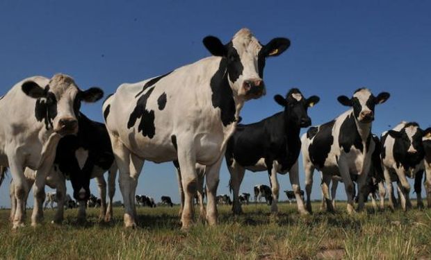 Segundo año de caída para la leche