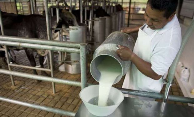 Argentina es el país que más aumentó su producción de leche a nivel mundial