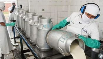 Caen las ventas de leches fluidas y en polvo en relación a 2020