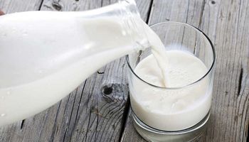Nueva vida para los residuos de la industria láctea