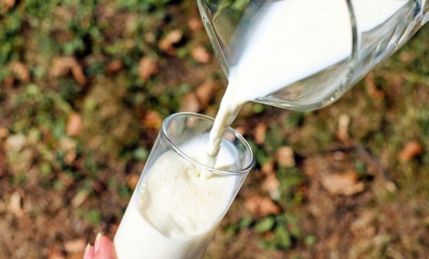 Día Mundial de la Leche: beneficios y recomendaciones a la hora de consumir lácteos