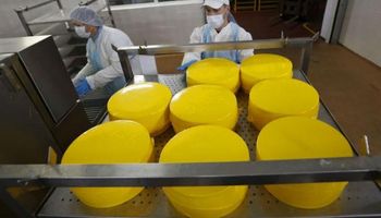 China importó US$ 5.330 millones en lácteos