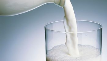 Mercado de futuros apunta a un leve repunte en subasta de Fonterra