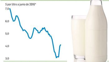 La lechería sigue cuesta abajo en la rodada
