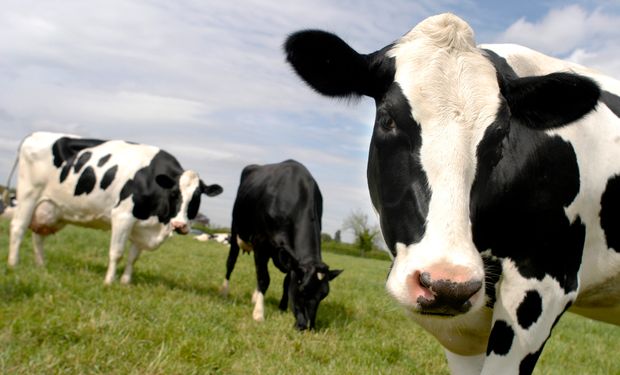 Ademas afirma que el negocio de producir leche está en una transición hacia un nuevo paradigma.