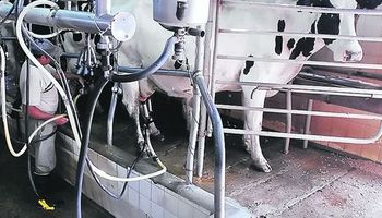 La producción de leche caerá por segundo año consecutivo